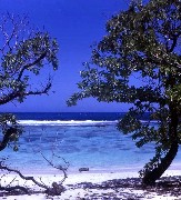 saipan beach